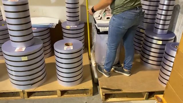 Giant Ameiva Lizard Rescue Full Video смотреть онлайн