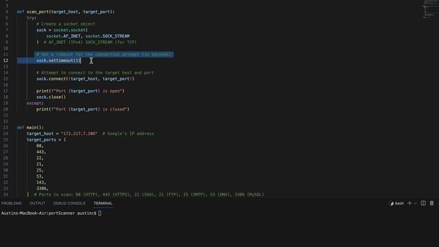 Python Port Scanner смотреть онлайн