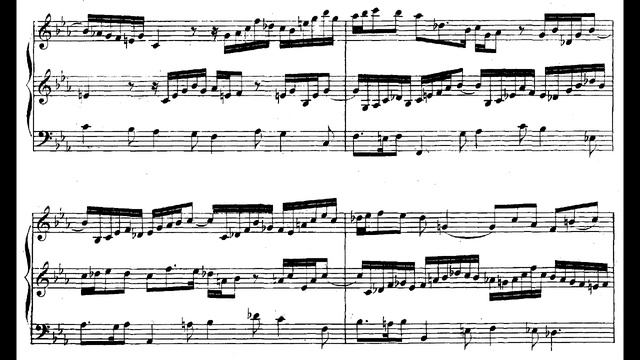 J. S. Bach Trio Sonata No. 1 in E-Flat Major, BWV 525 смотреть онлайн