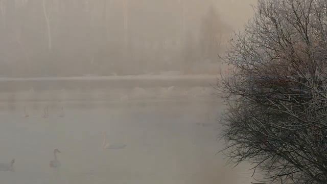 01 Урок 3 Сотворение человека смотреть онлайн