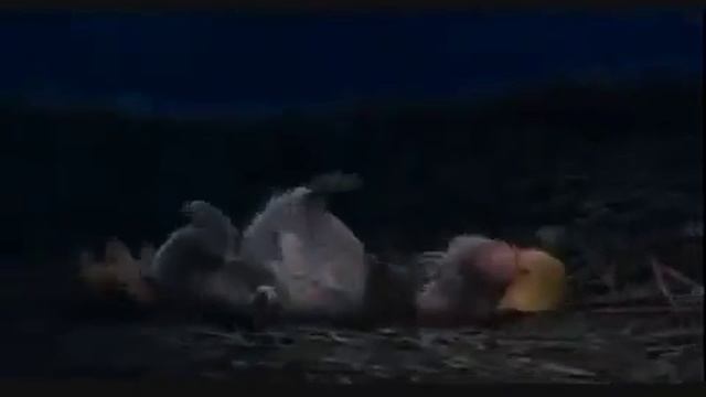 Funniest Scrat Moments Белка и желудь ледниковый период ржач смотреть в сем смотреть онлайн