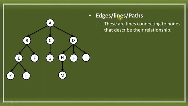 INTRODUCTION TO TREE IN DATA STRUCTURE смотреть онлайн