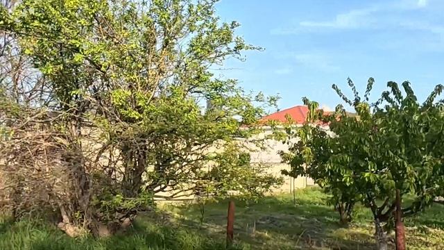 5.05.Ласточкины гнезда, Супсех. смотреть онлайн