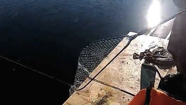 Щука весёловское водохранилище смотреть онлайн