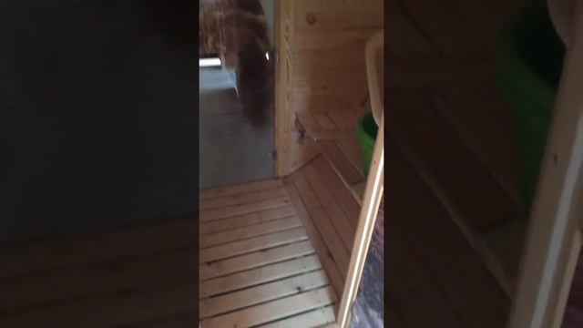 Баня бочка 6 м. Алтайские терема смотреть онлайн