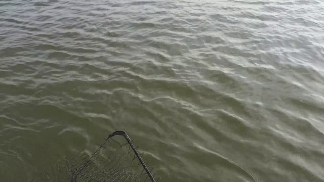 Рыбаки ловили рыбу, а поймали ......... смотреть онлайн