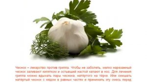 О лекарственных растениях детям