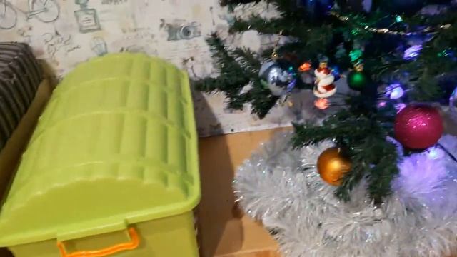 Свежие новости из жизни таксы Чарли и котёнка Мурзика.История, как мы наряжали ёлку. #вместевеселей смотреть онлайн