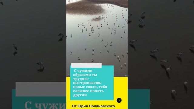 Юрий Поляновский Как соблюдать гигиену онлайн смотреть онлайн