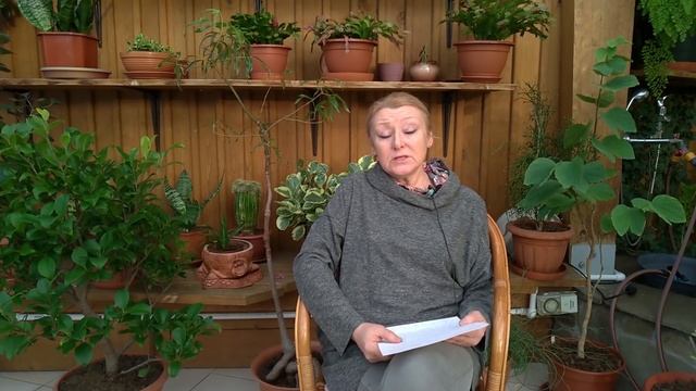 Спросите Ольгу Борисовну № 2 смотреть онлайн