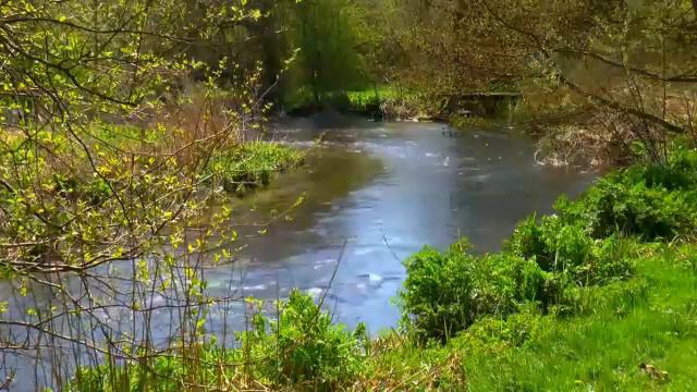 Песнь Песней (4 глава) смотреть онлайн