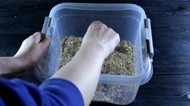 Мучной червь – ферма в домашних условиях. Разведение Хрущака. смотреть онлайн