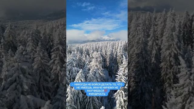 мотивация смотреть онлайн