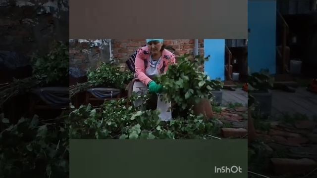 БЕРЕЗОВЫЙ ВЕНИК ( от начала до конца) смотреть онлайн