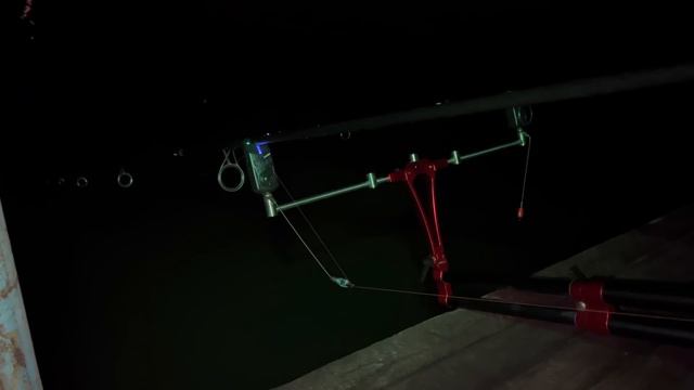 Дикі Сазани так і пруть смотреть онлайн