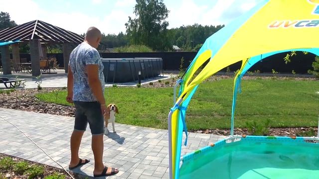 ШЕРЛОК И 1 000 000 000 000 POP IT. БРОС ШОУ ПЕТ смотреть онлайн