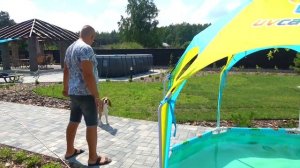 ШЕРЛОК И 1 000 000 000 000 POP IT. БРОС ШОУ ПЕТ