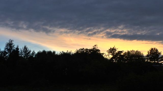 6. Ю. Энгель, Лермонтов. Я, Матерь Божия... Дмитрий Степанович.mov