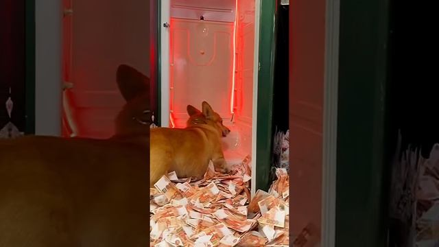 Главное, что я умею доллары считать смотреть онлайн