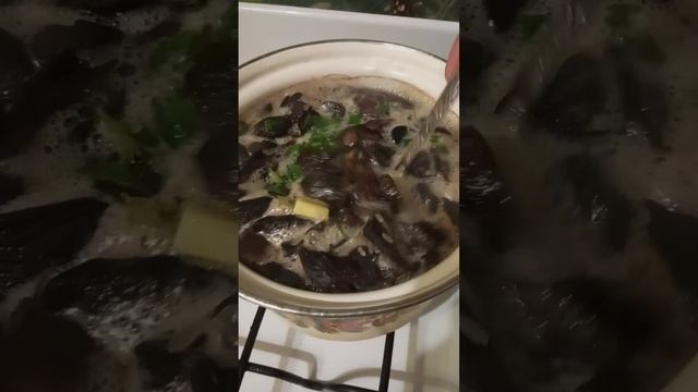 Что я успела за 2 часа смотреть онлайн