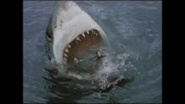 Мегаладон существует! Новые кадры с МЕГАЛАДОНОМ.