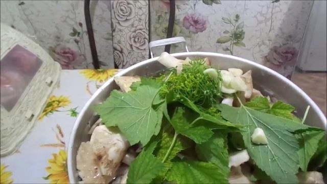 Засолка рыбы и икры в домашних условиях