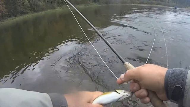 Нахлыст, закрытие летнего сезона 2017 смотреть онлайн