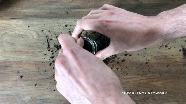 How To Plant Haworthia Fasciata 'Zebra Plant' In A Jar смотреть онлайн