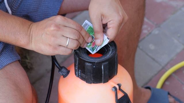 Виноград Болеть НЕ БУДЕТ!!! Чем обработать Виноград от Болезней?! Болезни Винограда! смотреть онлайн