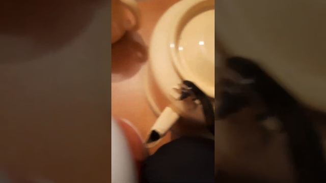 купил гейнер за 500 рублей смотреть онлайн