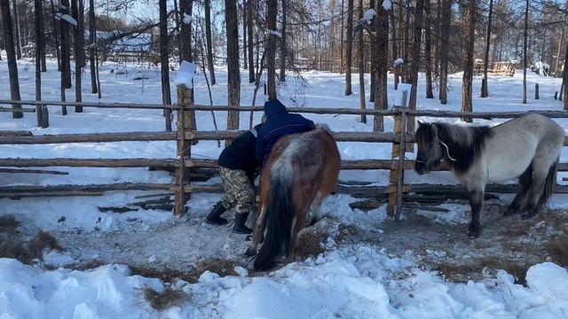 Традиции предков (Республика Саха Якутия) смотреть онлайн