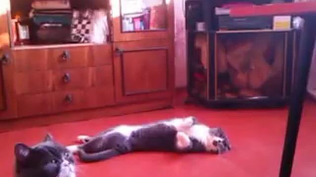 СТЕПАНИДА И СЕМЕН смотреть онлайн