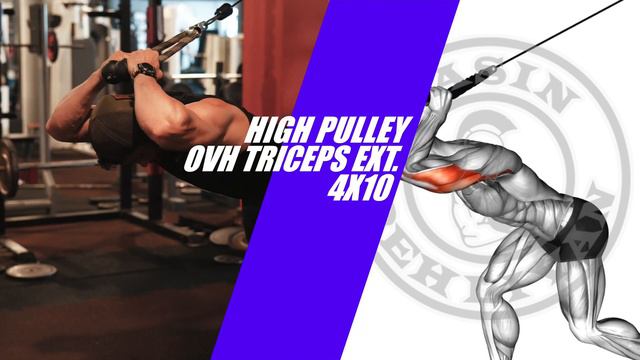 8 BEST Exercises To Grow Bigger Arms Fast