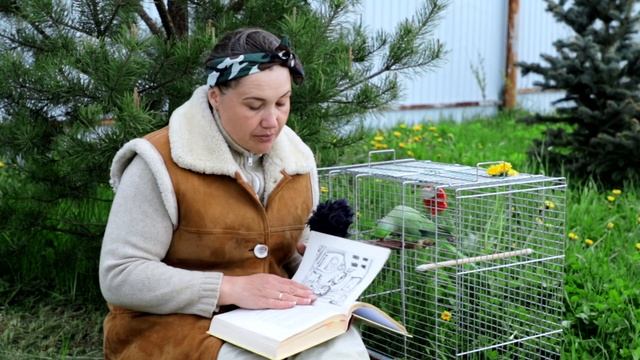 Сергей Козлов "Зимняя сказка". Читает Кузнецова Татьяна смотреть онлайн