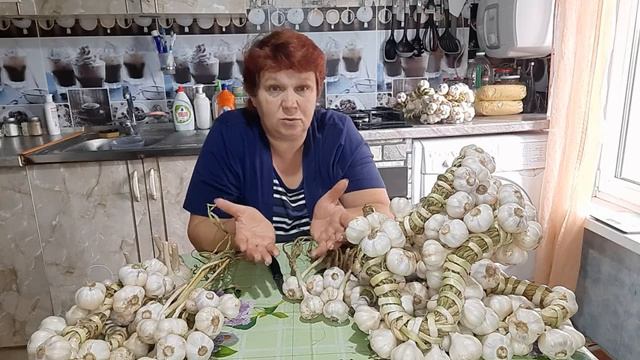 #ЯРОВОЙ #ЧЕСНОК??? ВЫРОС НА #СЛАВУ!!! #ПЛЕТЁМ И #ГОТОВИМ НА #ХРАНЕНИЕ?? смотреть онлайн