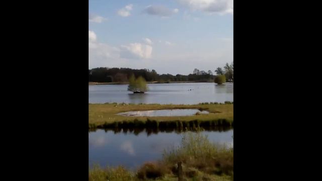 Philipp Röchter - Hunger Strike / Harmony (The Tossers Cover and Tribute) смотреть онлайн