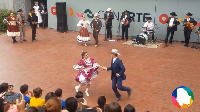 Conociendo Chihuahua смотреть онлайн