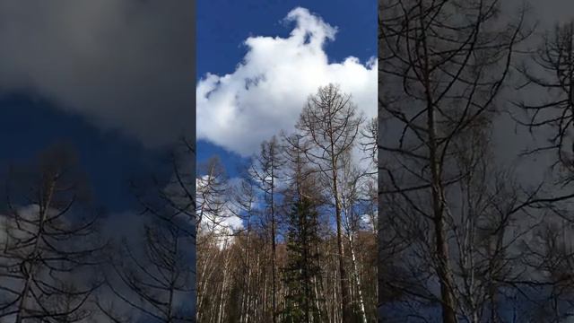 Нилова пустынь!!! смотреть онлайн