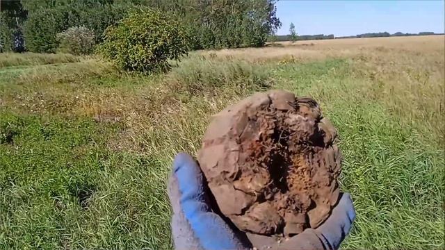 РЕКОРДНЫЙ КОП!!! СОВЕТСКАЯ СВАЛКА.!! смотреть онлайн
