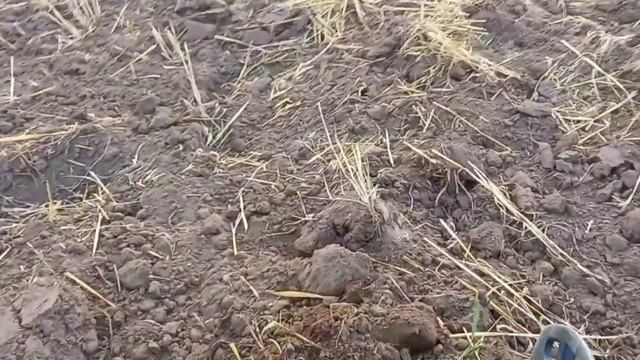 ВТОРОЙ ВЫХОД ПО 17 ВЕКУ , НАХОДКИ РАДУЮТ , ЧЕШУЯ , VANQUISH 340 смотреть онлайн