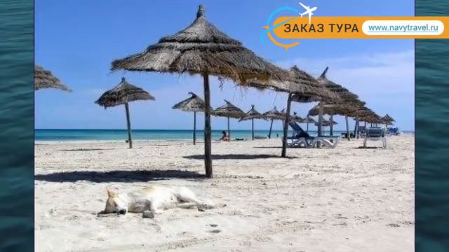 FORTUNA DJERBA 4* Тунис Джерба обзор – отель ФОРТУНА ДЖЕРБА 4* Джерба видео обзор смотреть онлайн