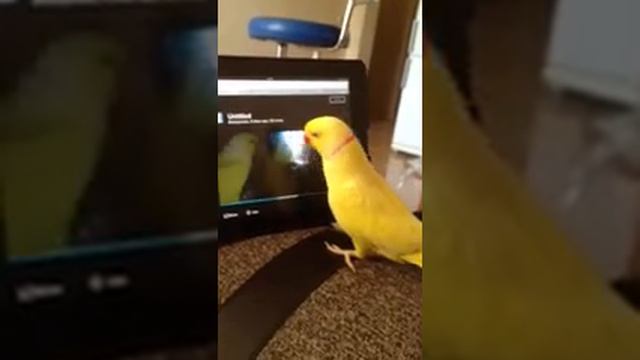 Шлем привет брату смотреть онлайн