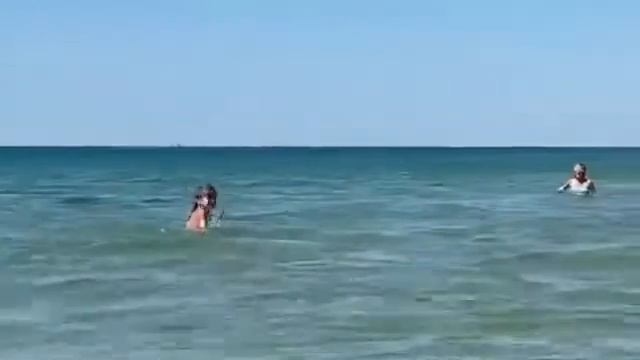 Дельфины резвятся в Благовещенской смотреть онлайн
