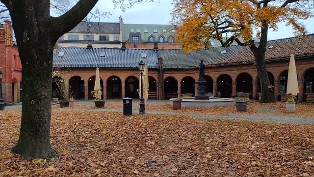 Цветные Грани