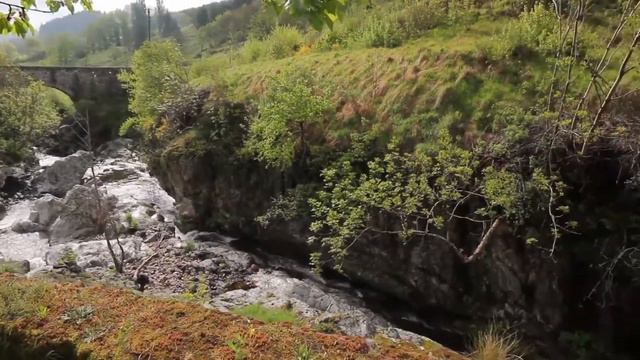 Fleur de lune смотреть онлайн