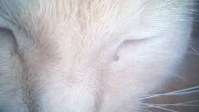 Ночной сон 2 часть. #1втренде смотреть онлайн