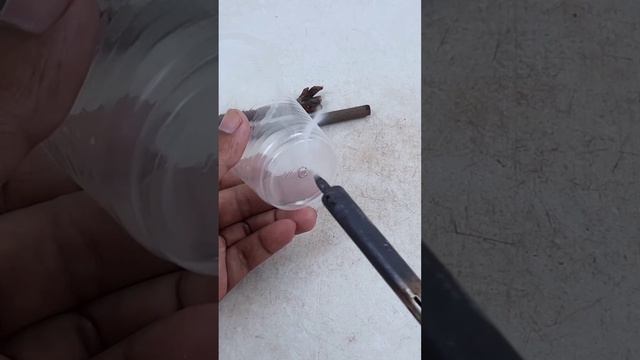 EASIEST Way to Grow Ixora Plants from Cuttings#Shorts смотреть онлайн