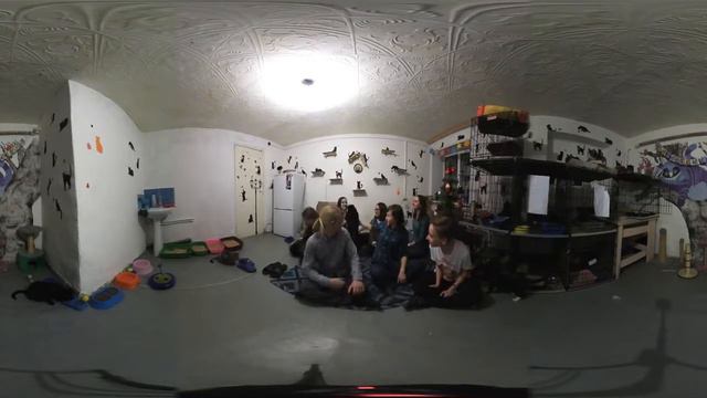 Приют Матроскин Пермь смотреть онлайн