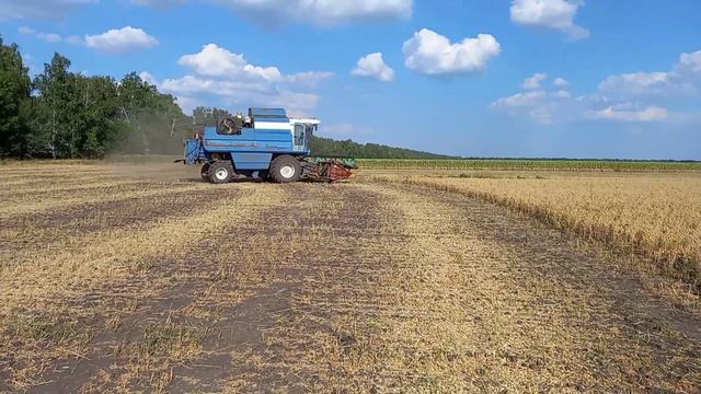 .Нут.збір врожаю смотреть онлайн