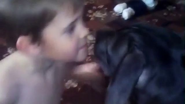 Дети и питбультерьер смотреть онлайн